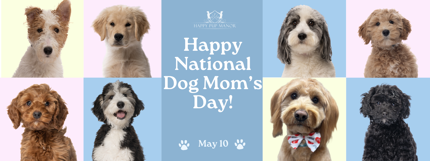 Celebrating National Dog Mom’s Day at Happy Pup Manor