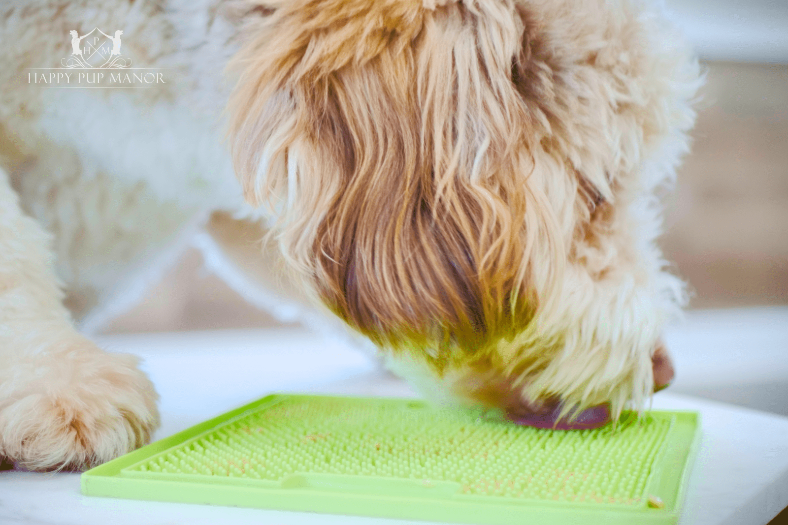 Dog Lick Mats: What Are They and Why We Love Them