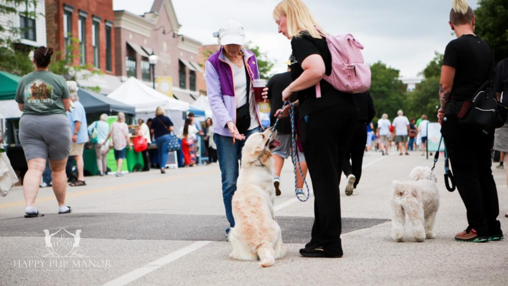 dog-friendly places