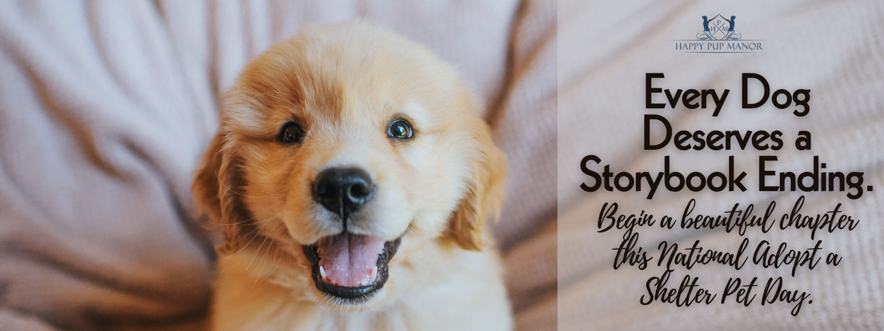 Celebrate Adopt a Shelter Pet Day: Open Your Heart to a New Best Friend