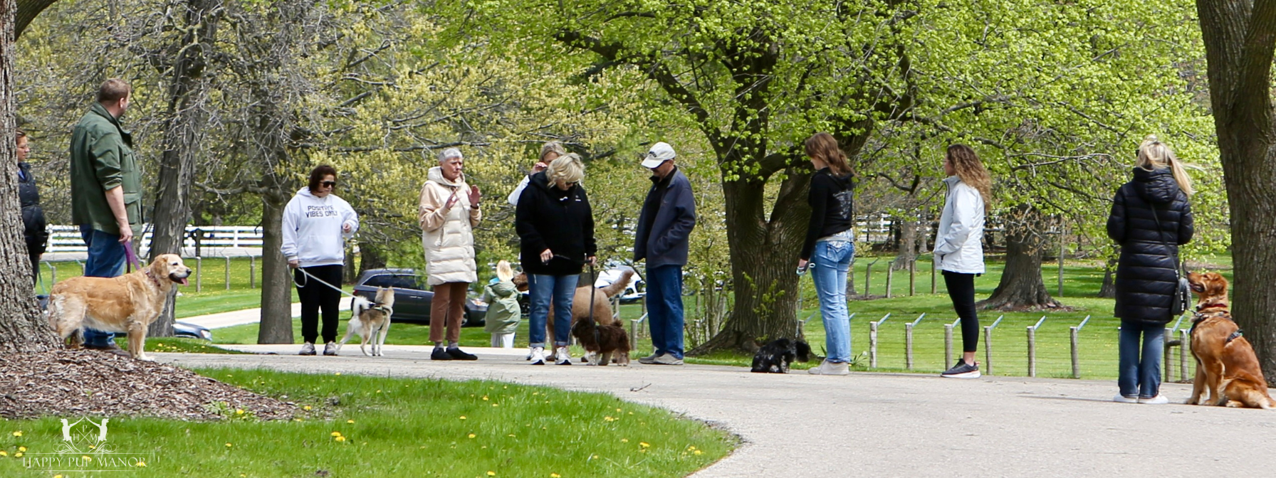 How to Host a Pet-Friendly Event in Your Community