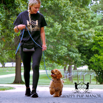 Mastering Loose Leash Walking
