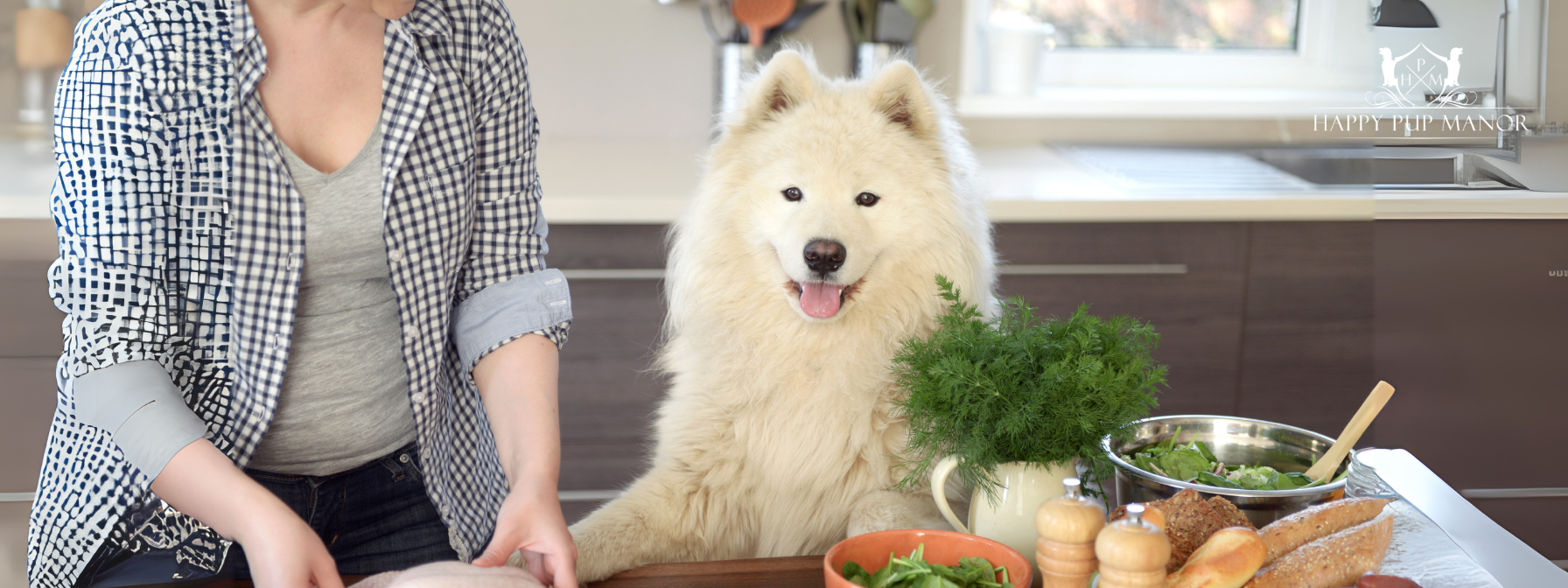 Easy & Healthy Dog Lick Mat Recipes Your Pup Will Love