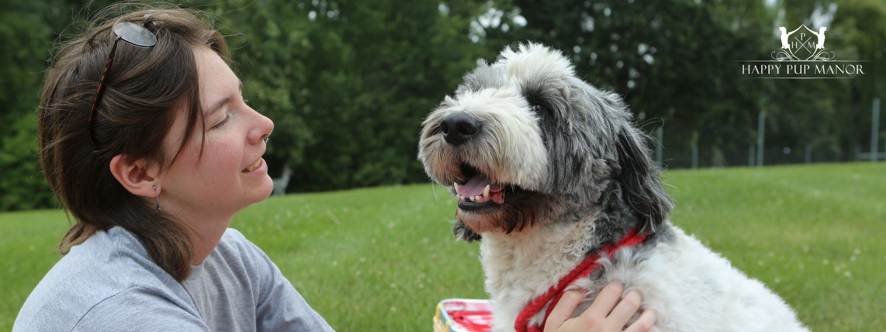 Pet First Aid 101: What Every Dog Owner Needs to Know